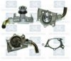 Saleri SIL PA1176 Water Pump